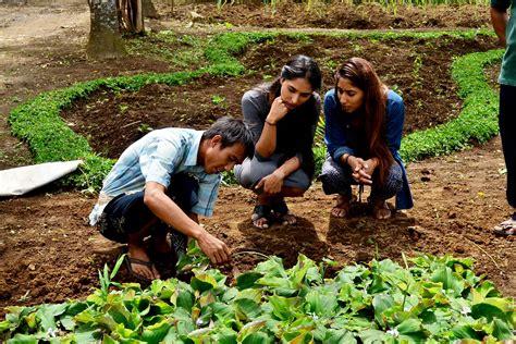  Yielding Wisdom: Traditional Knowledge and Sustainable Farming in Indonesia 